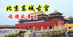 午夜内射少妇小视频中国北京-东城古宫旅游风景区